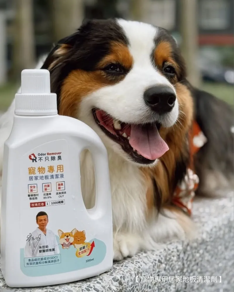 紅柿子不只除臭寵物系列