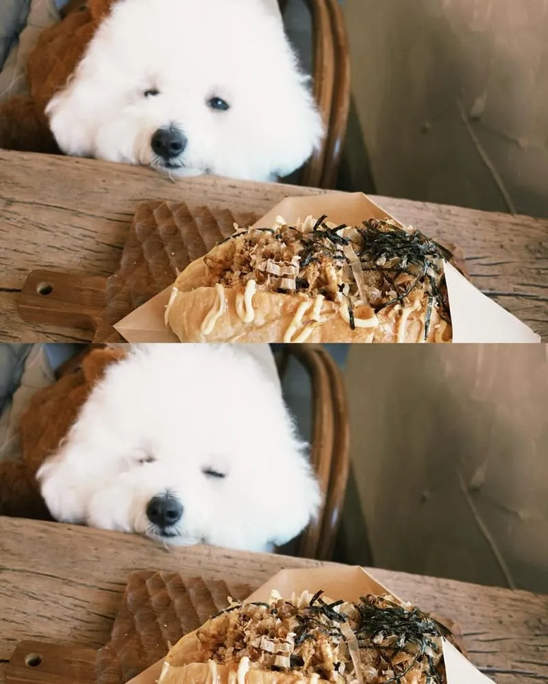 嘉義荏苒咖啡