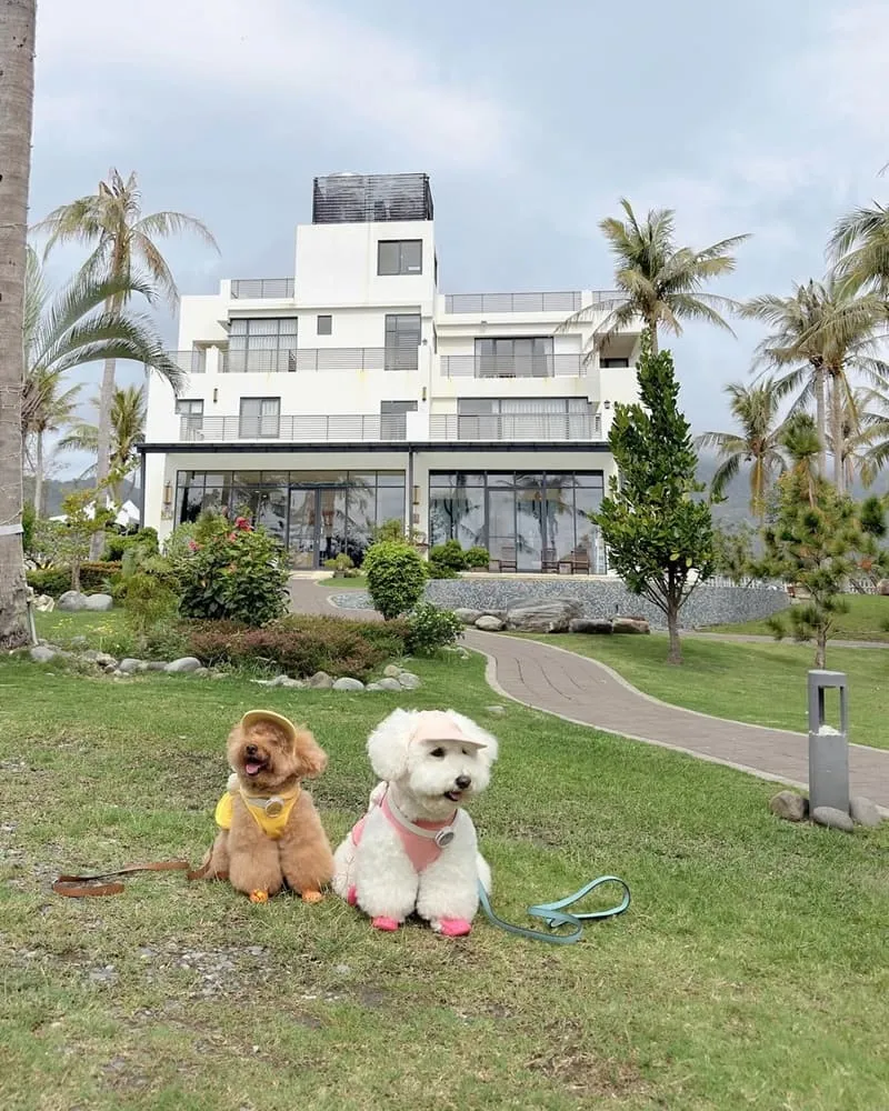 富杉晴 Rich Sunshine Inn