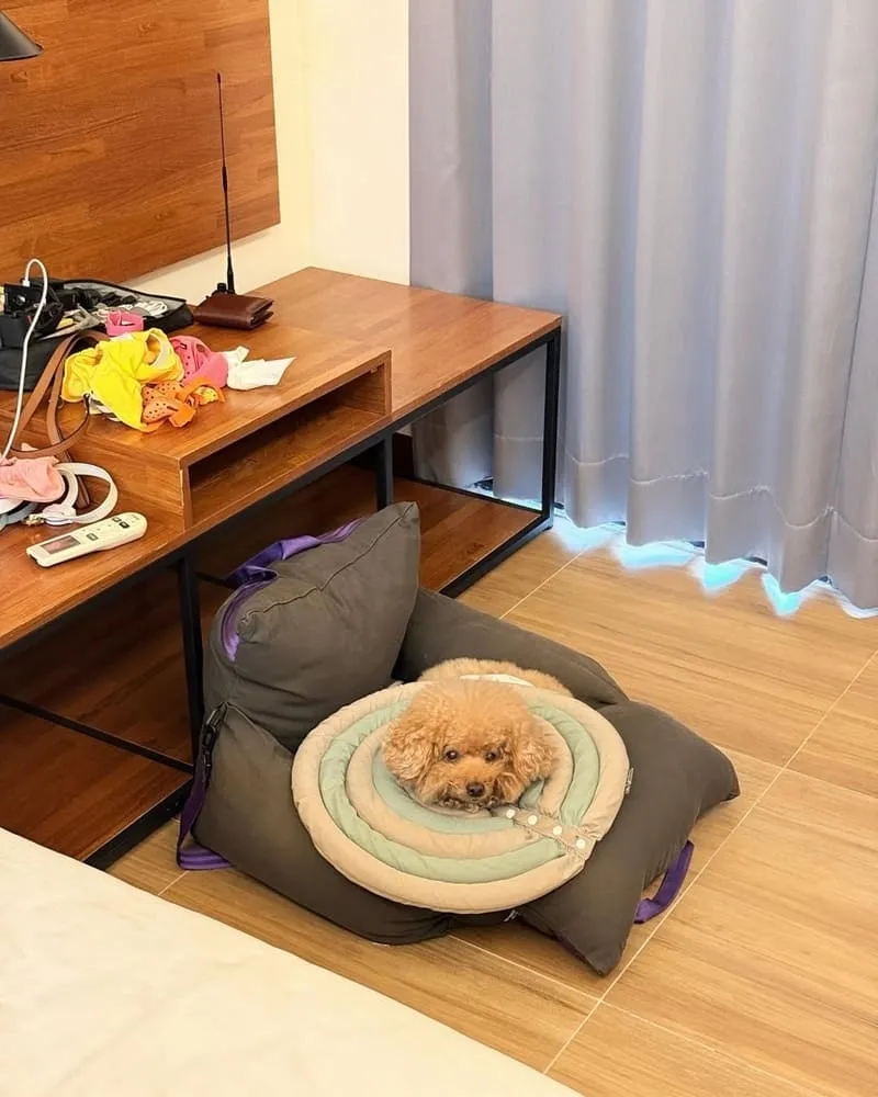 富杉晴 Rich Sunshine Inn