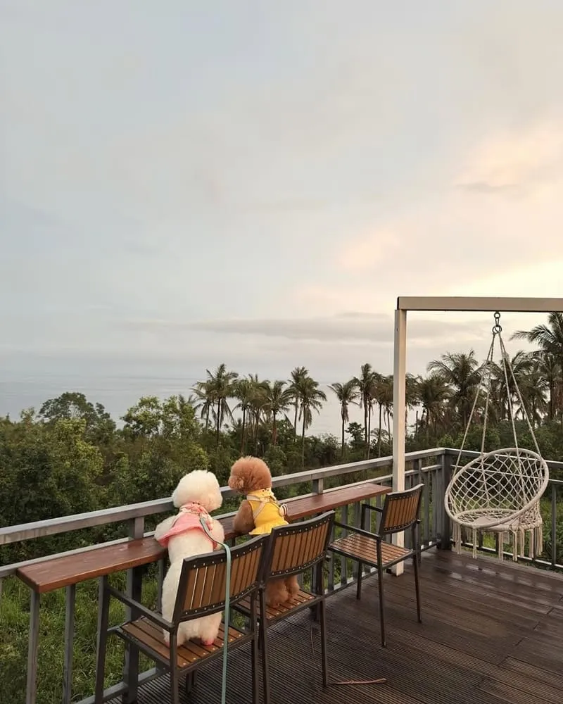 富杉晴 Rich Sunshine Inn