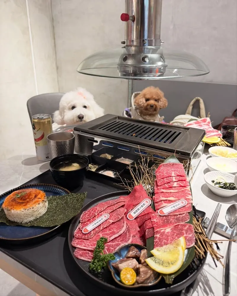 肉民聚集所單人燒肉
