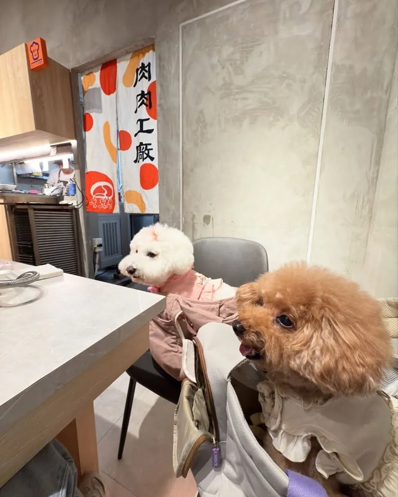 肉民聚集所單人燒肉