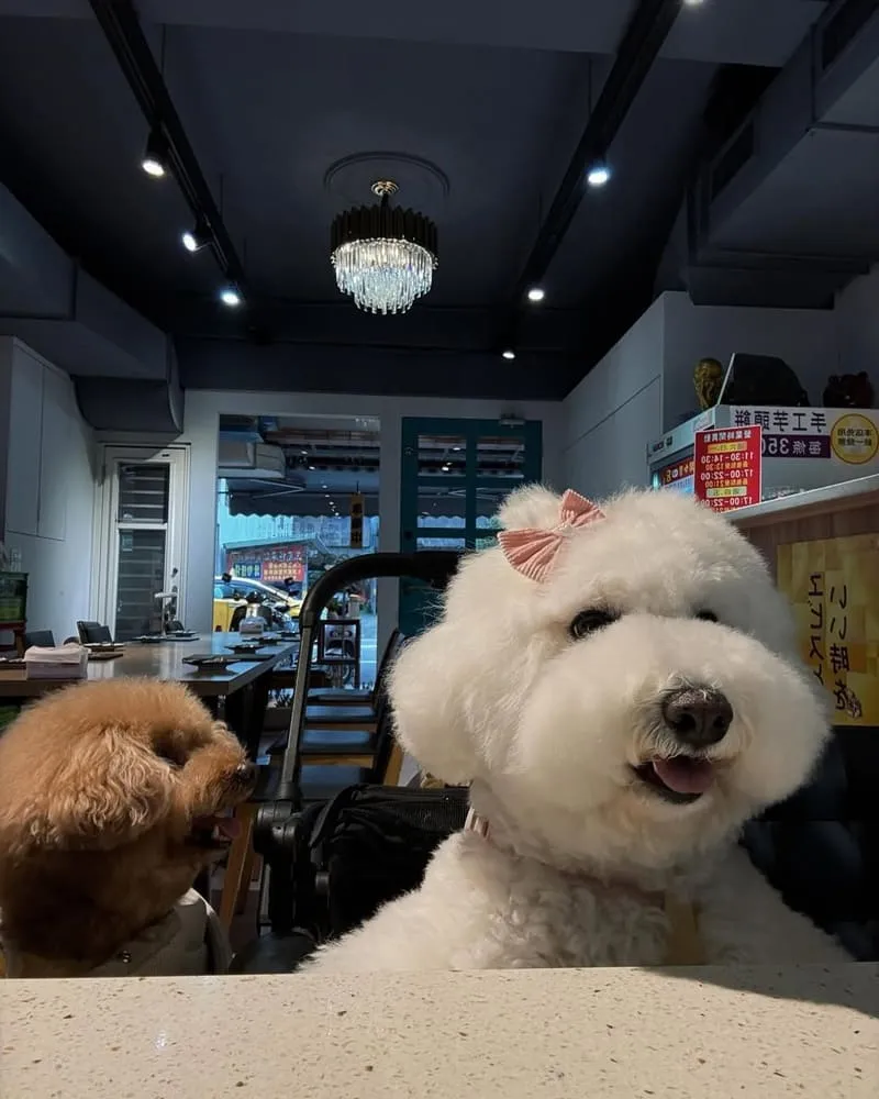 三友鉄板食作單點式