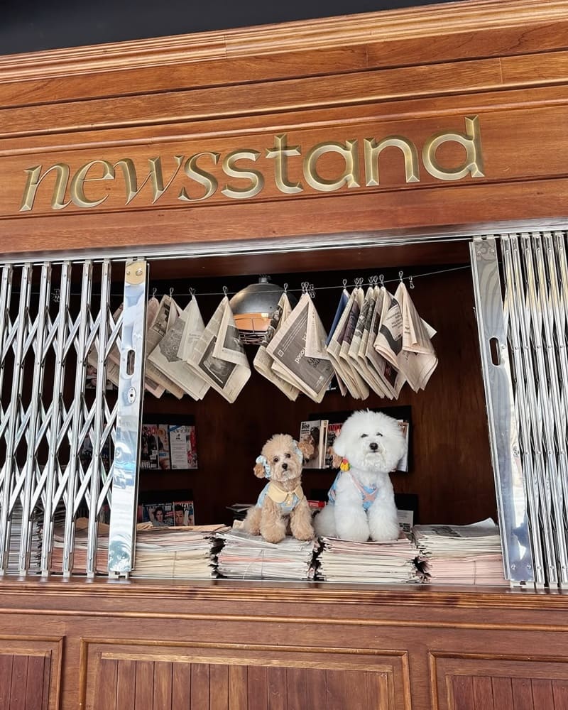 NEWSSTAND模範社區
