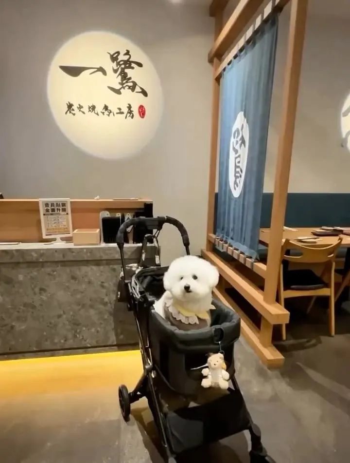 一鷺炭火燒鳥工房南屯店