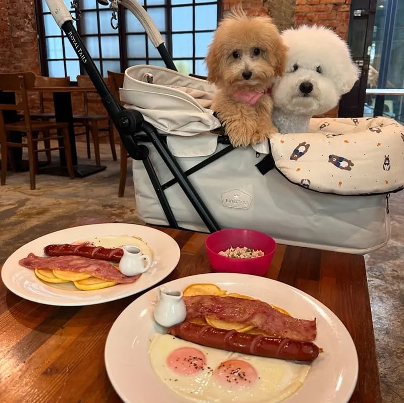 美好年代台中店