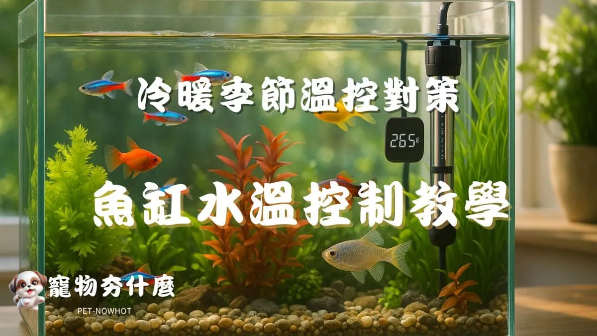 魚缸水溫控制教學
