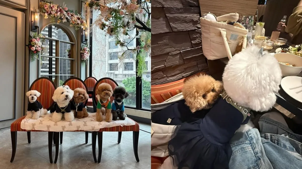 漫嚼 Mangia 義式餐廳