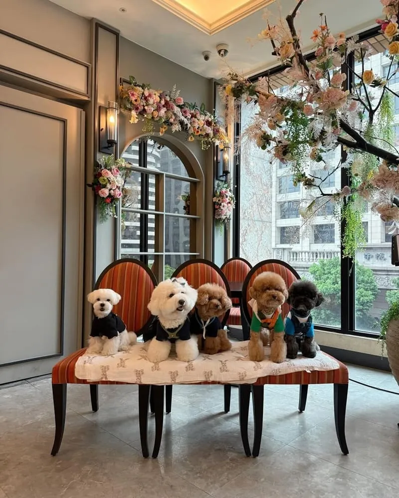 漫嚼 Mangia 義式餐廳