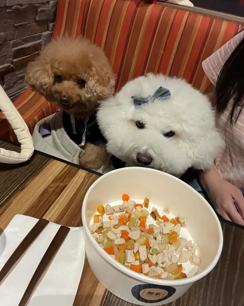 漫嚼 Mangia 義式餐廳