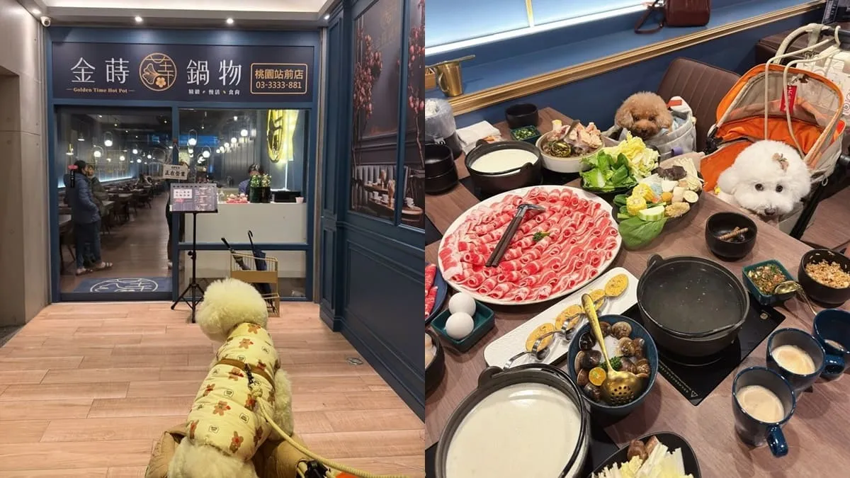 金蒔鍋物桃園站前店