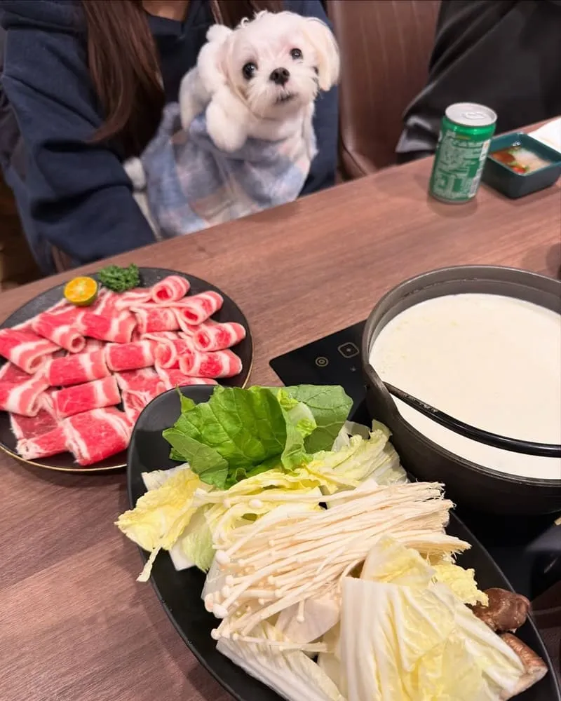 金蒔鍋物桃園站前店