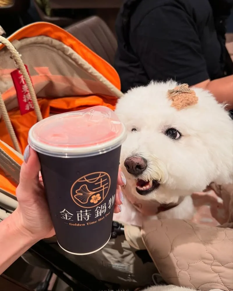 金蒔鍋物桃園站前店