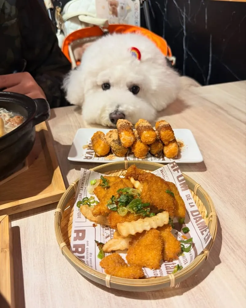 桃園一涴川辛堂