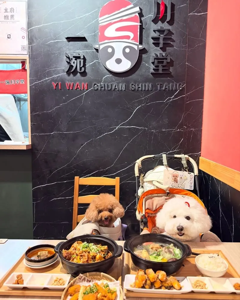桃園一涴川辛堂