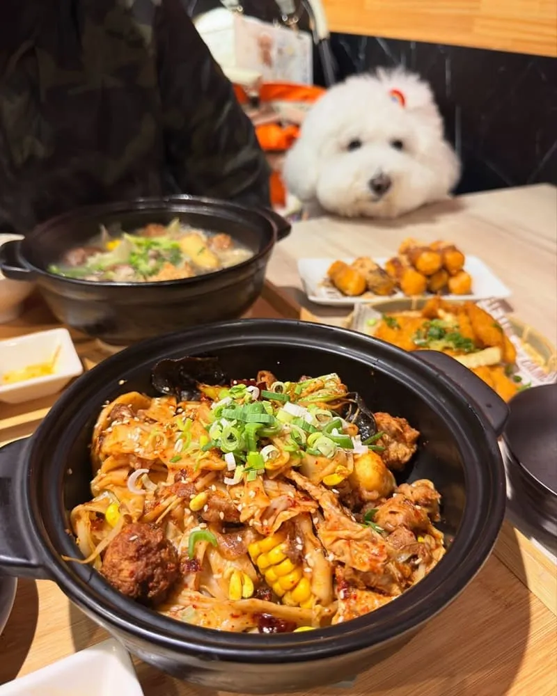 桃園一涴川辛堂