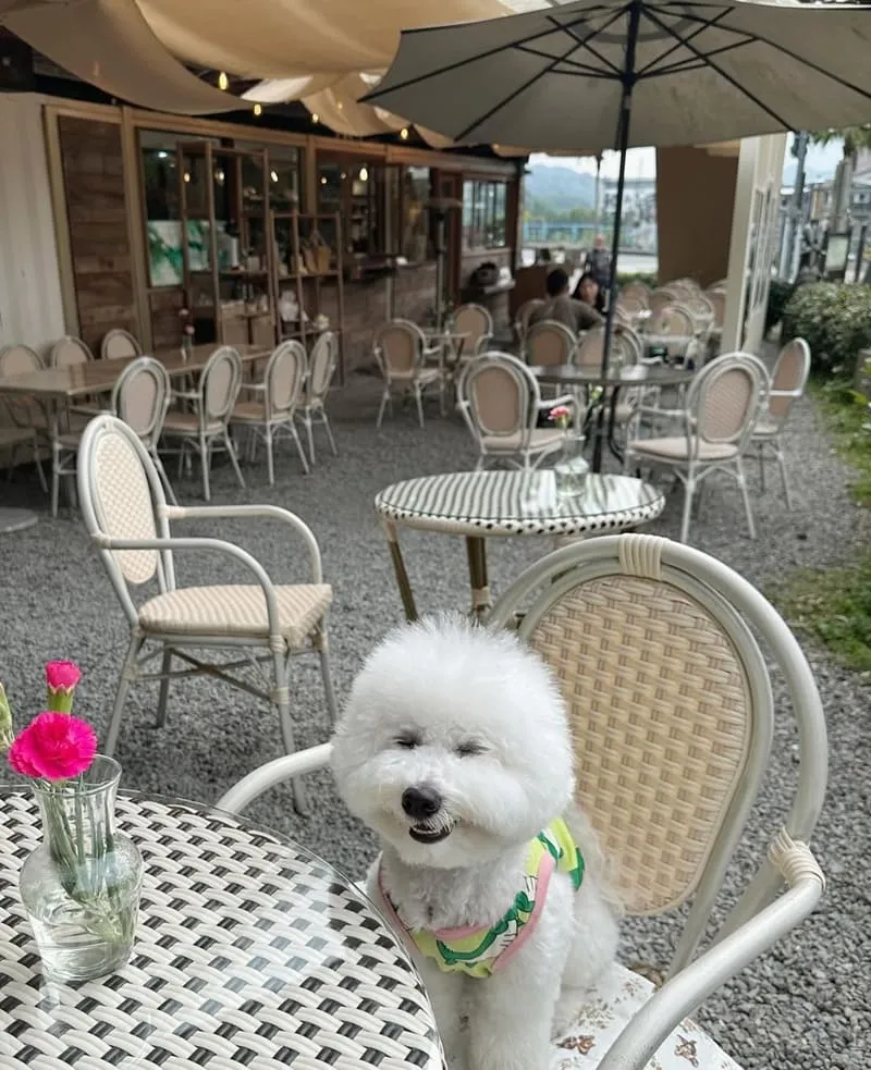 心茶合一坪林店