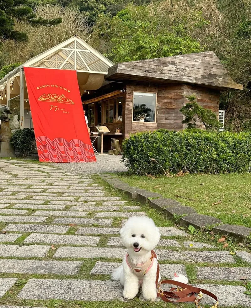 心茶合一坪林店