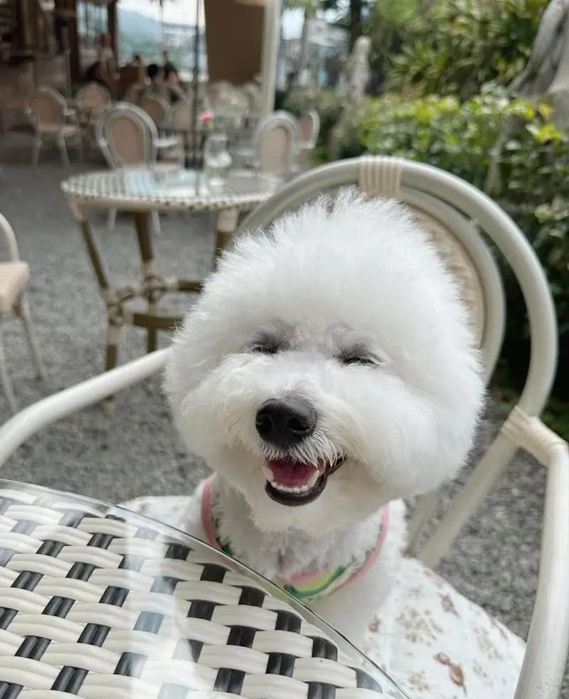 心茶合一坪林店