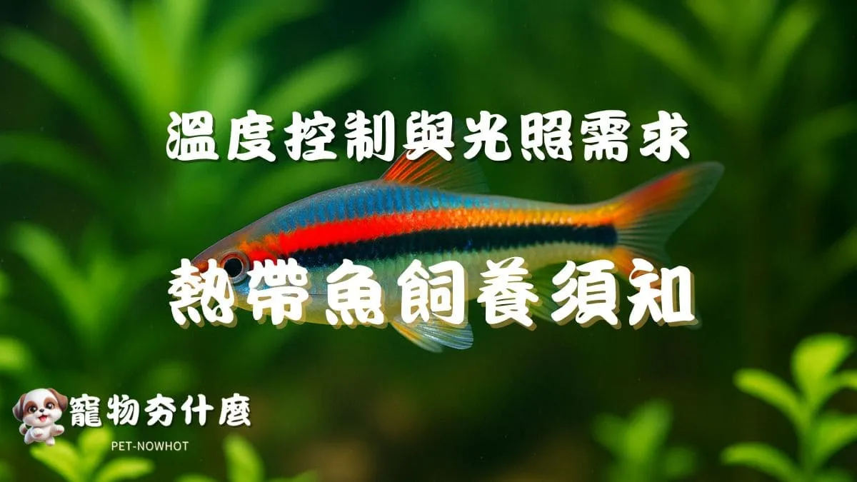 熱帶魚飼養須知