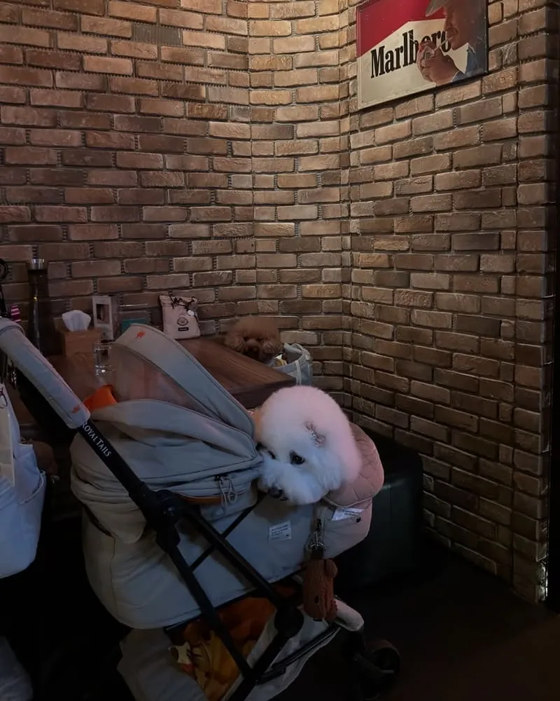Tunnel Bar 隧道酒吧