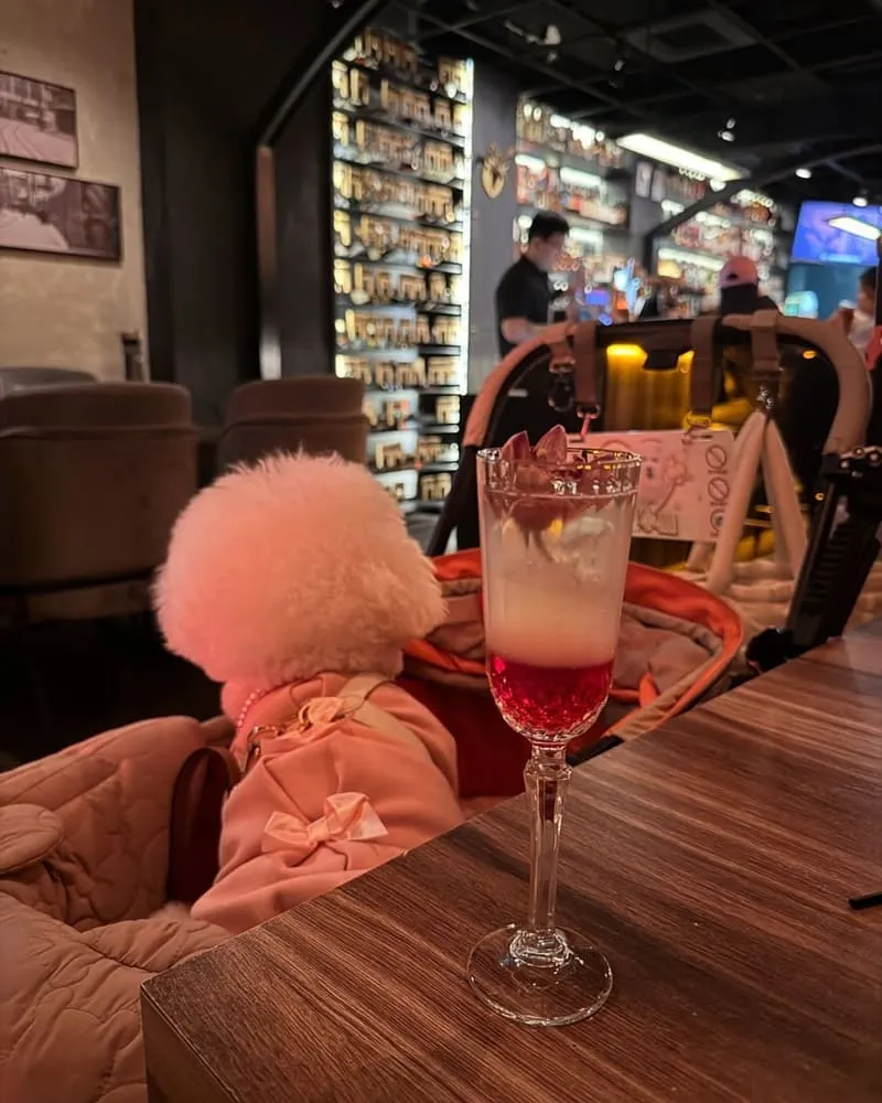 Tunnel Bar 隧道酒吧