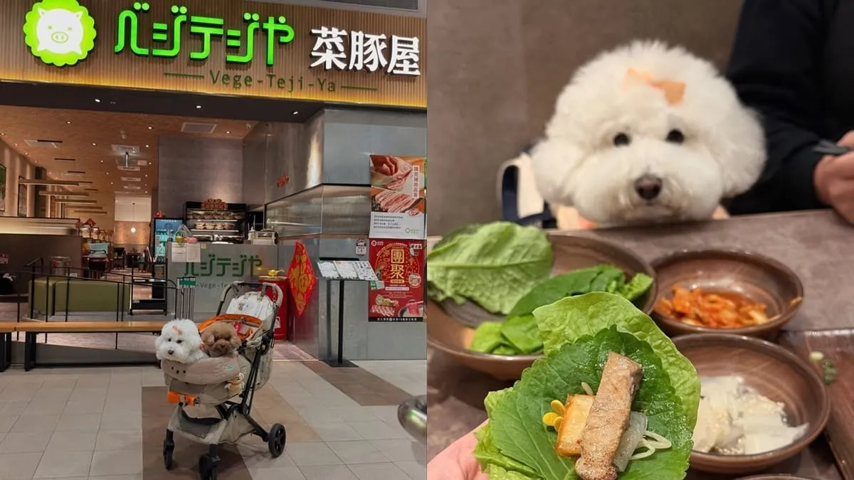 菜豚屋林口店