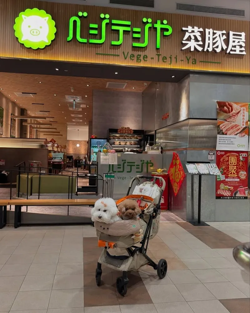 菜豚屋林口店