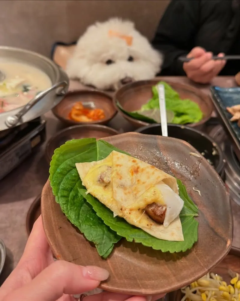 菜豚屋林口店
