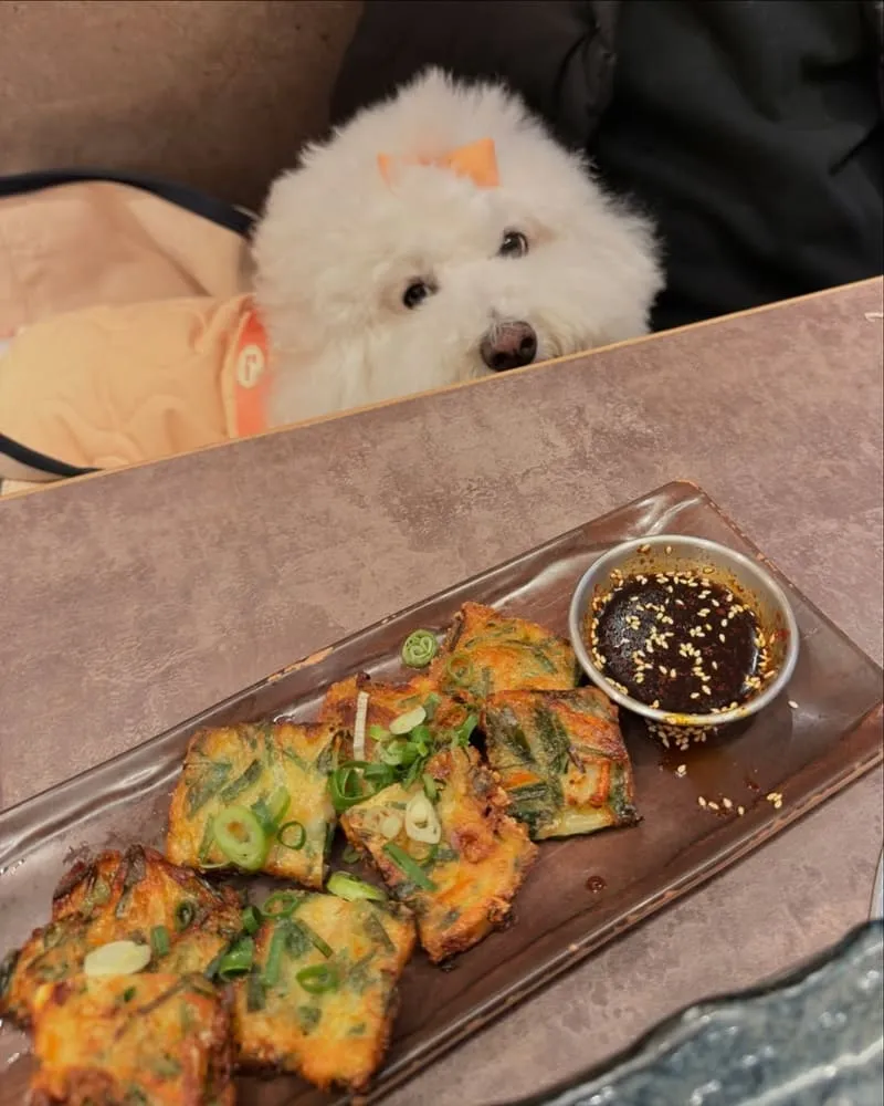 菜豚屋林口店