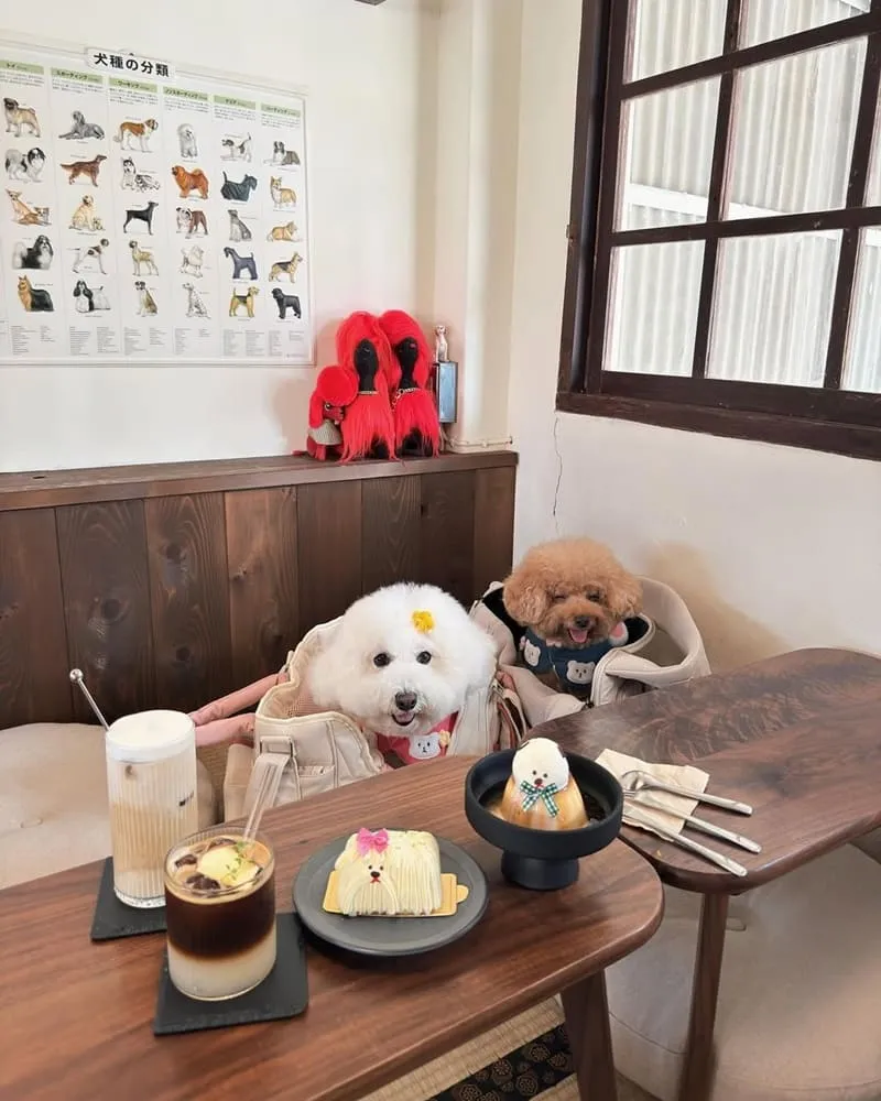 Wakamodog台南狗糕甜點店