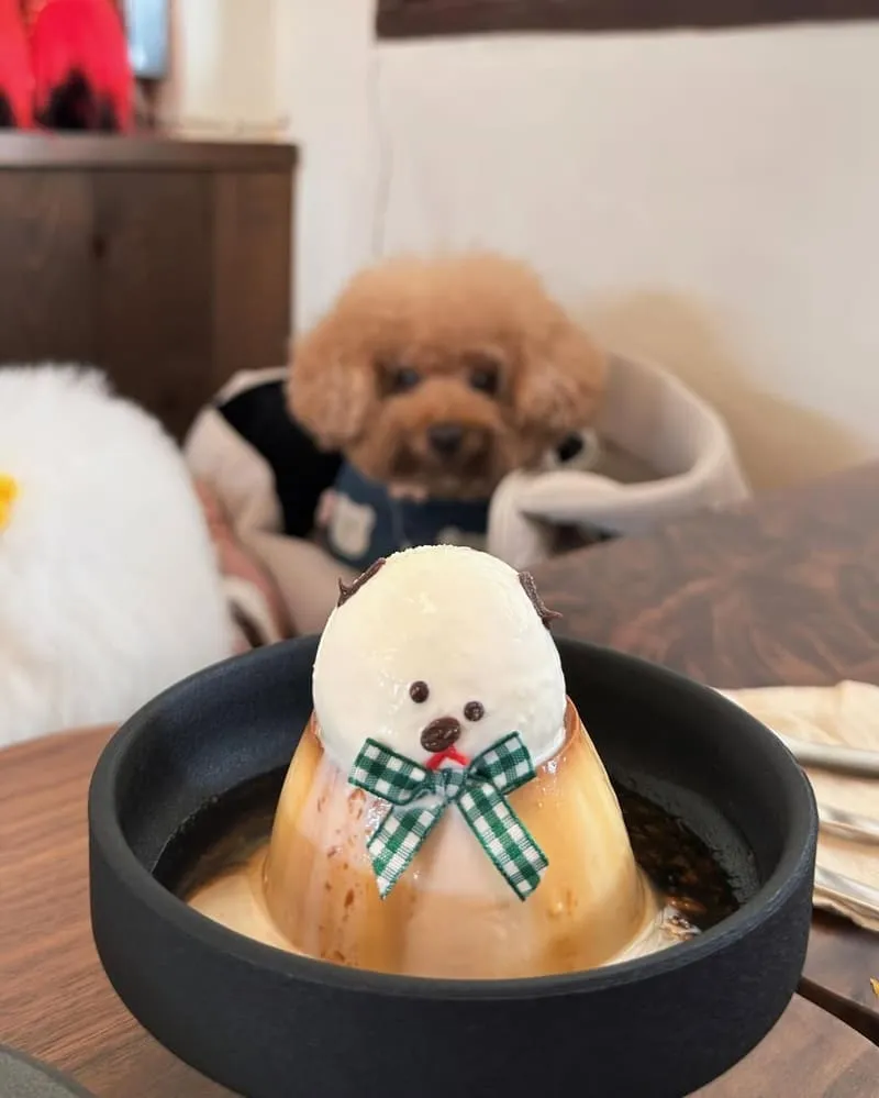 Wakamodog台南狗糕甜點店