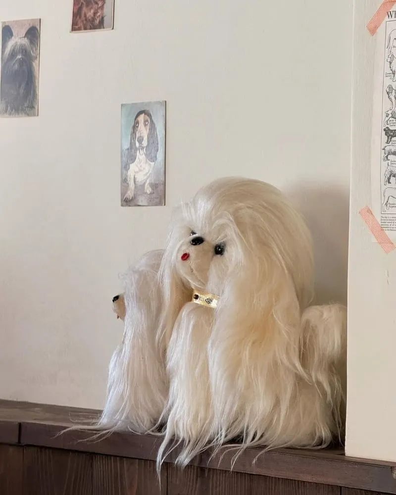 Wakamodog台南狗糕甜點店