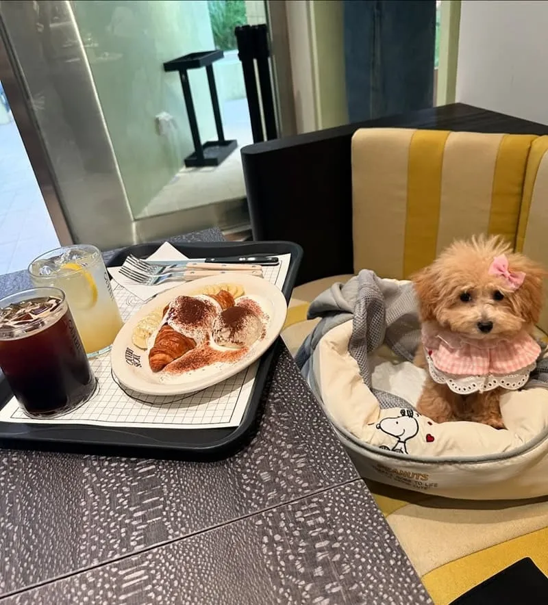 Waku⁺ burger pasta cafe