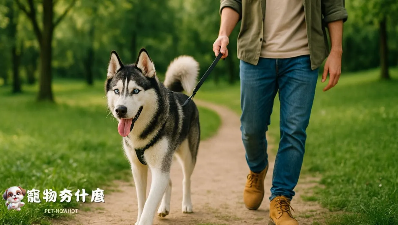 why dog licks paws 5