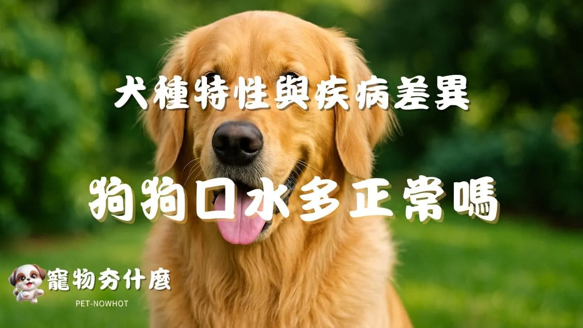 狗狗口水多正常嗎？