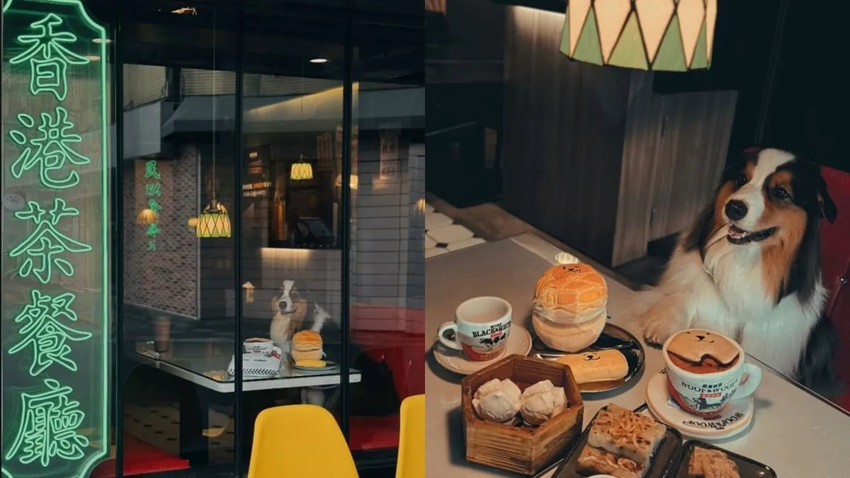 Woof² 港味藏食玩具開箱實測