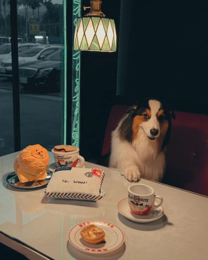 Woof² 港味藏食玩具