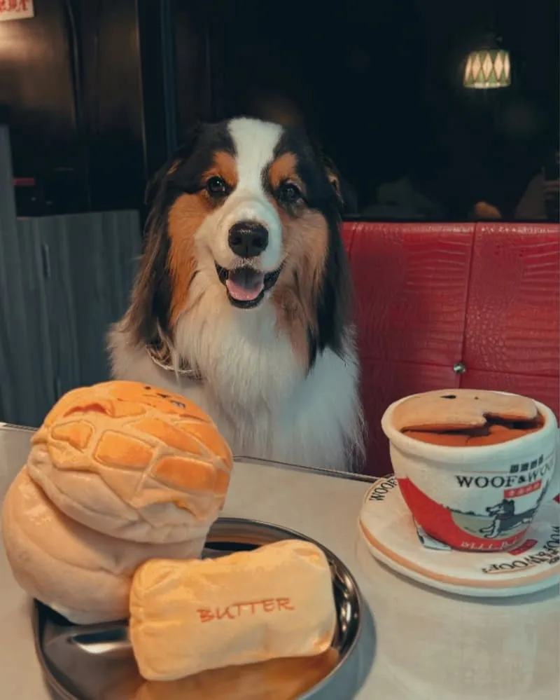 Woof² 港味藏食玩具