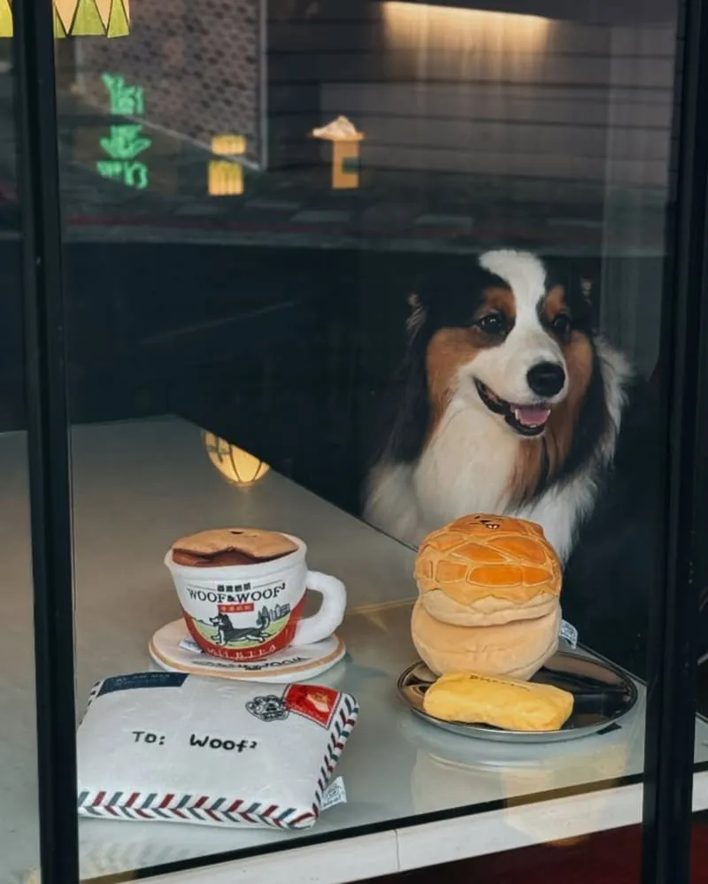 Woof² 港味藏食玩具