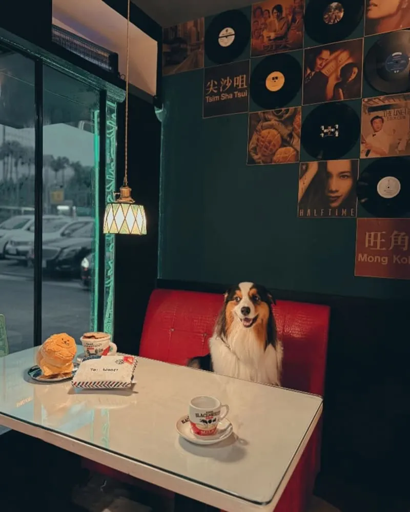 Woof² 港味藏食玩具