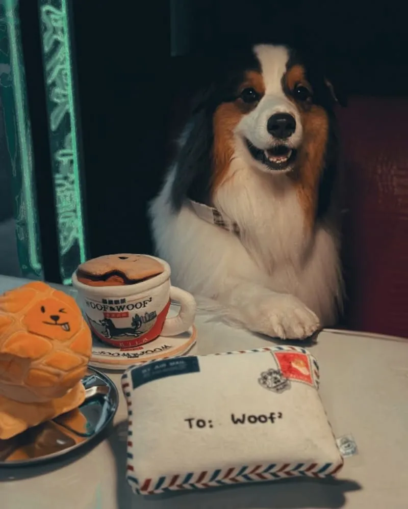 Woof² 港味藏食玩具