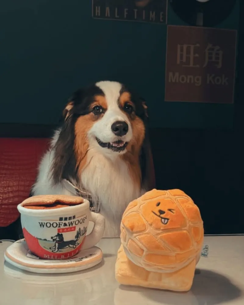 Woof² 港味藏食玩具