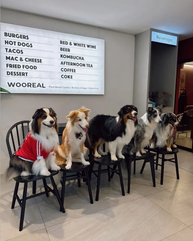 WOOREAL 純植美式餐廳