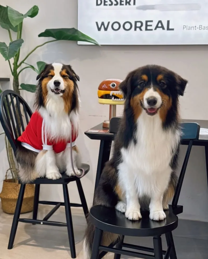 WOOREAL 純植美式餐廳