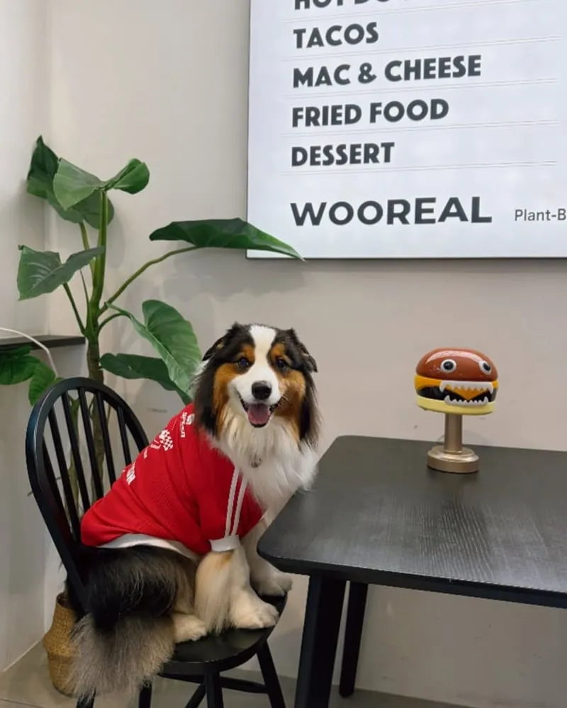WOOREAL 純植美式餐廳