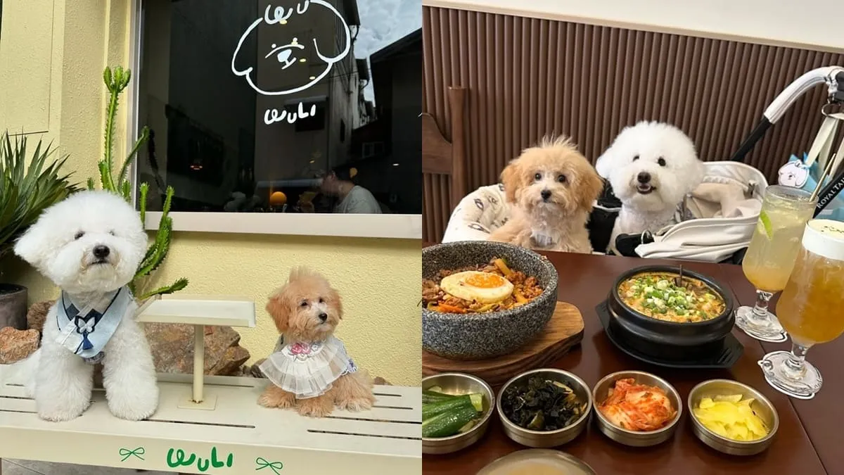 無理 WULI韓式料理餐廳