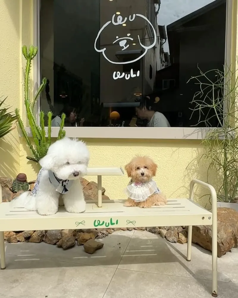 無理 WULI韓式料理餐廳