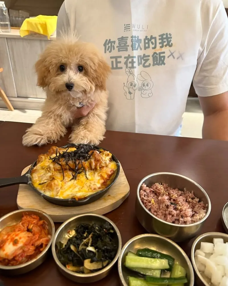 無理 WULI韓式料理餐廳